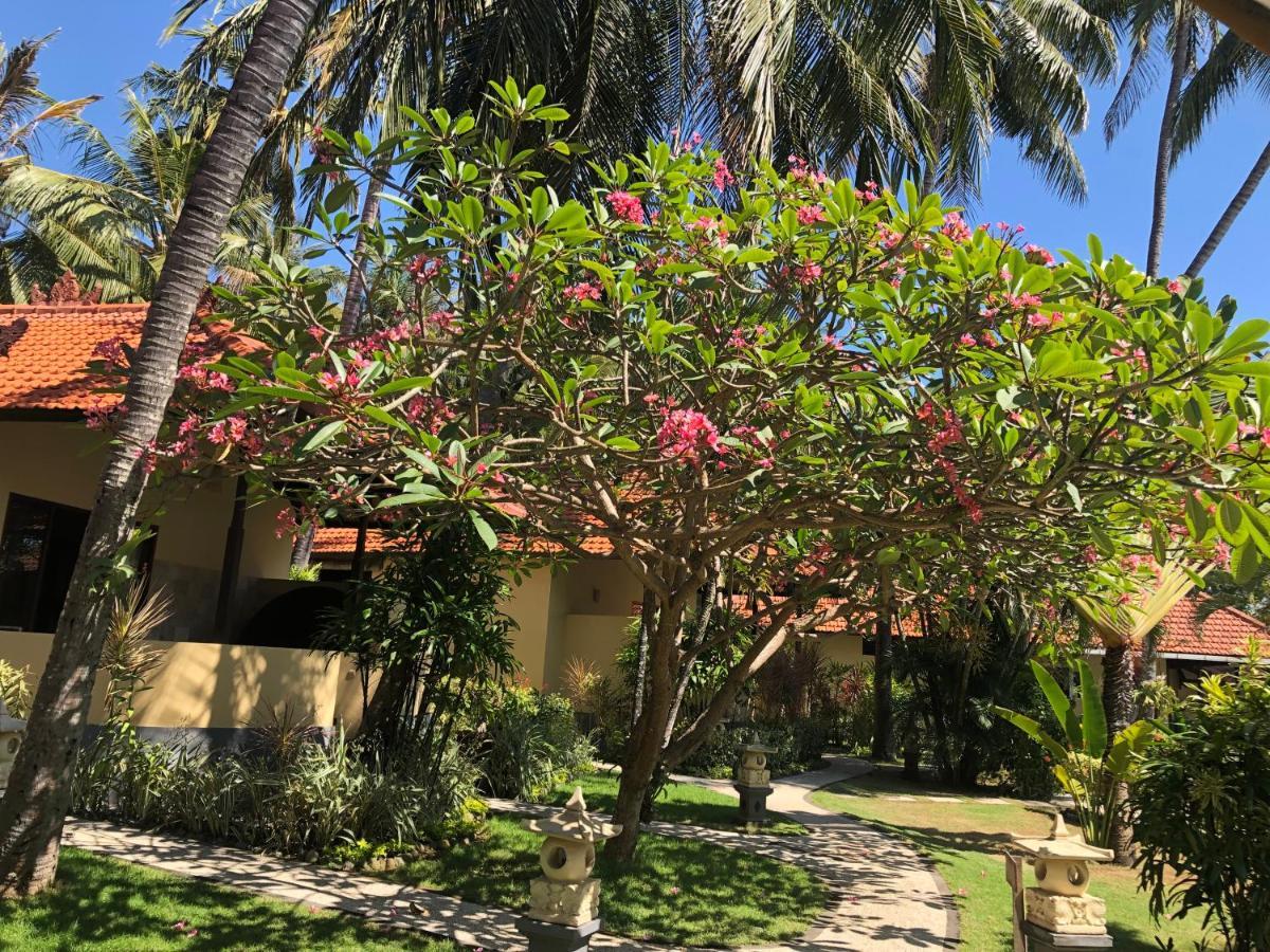 Teluk Karang Dive & Spa Resort Tejakula Esterno foto